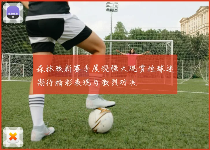 森林狼新赛季展现强大观赏性球迷期待精彩表现与激烈对决