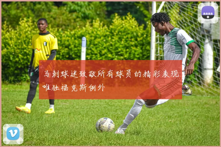 马刺球迷致敬所有球员的精彩表现唯独福克斯例外